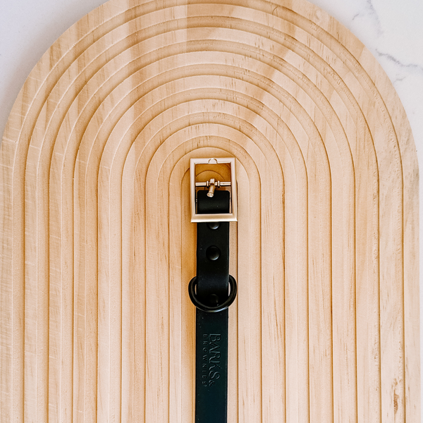 Waterproof Dog Collar - Black