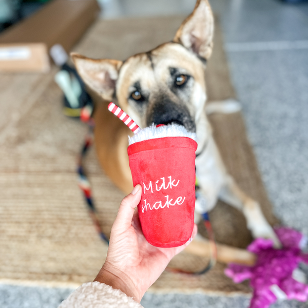 Milkshake Squeaky Dog Toy