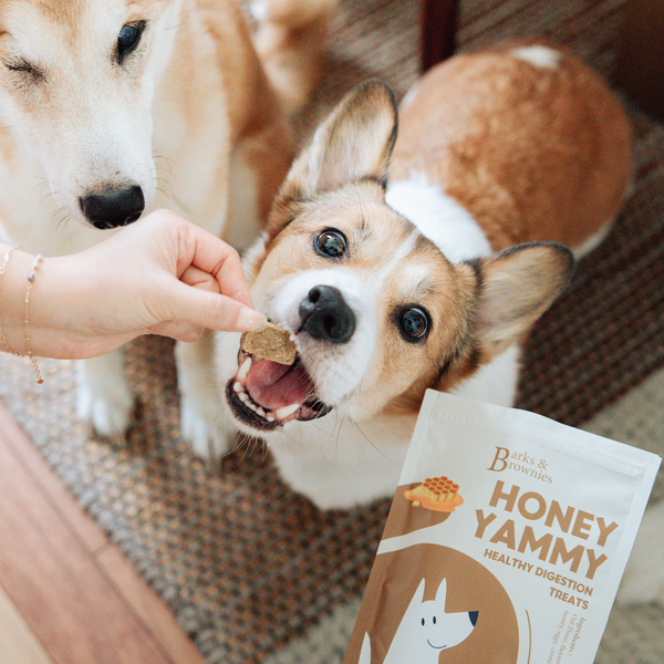 HONEY YAMMY | HEALTHY DIGESTION Premium Dog Treats