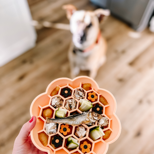 Daisy Slow Feeder - Peach