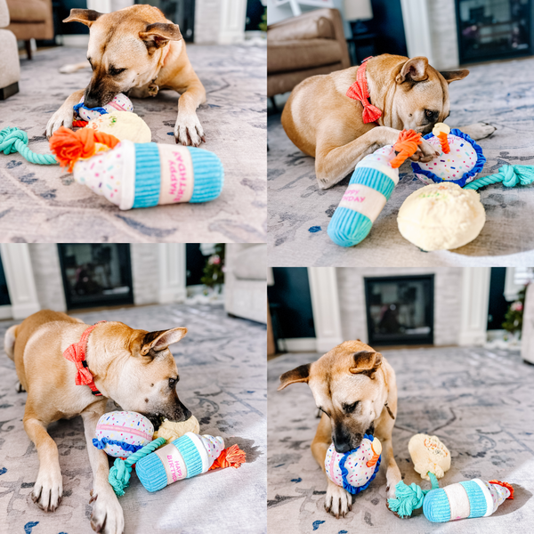 Birthday Squeaky Dog Toy
