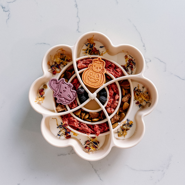 Love Slow Feeder - Snow