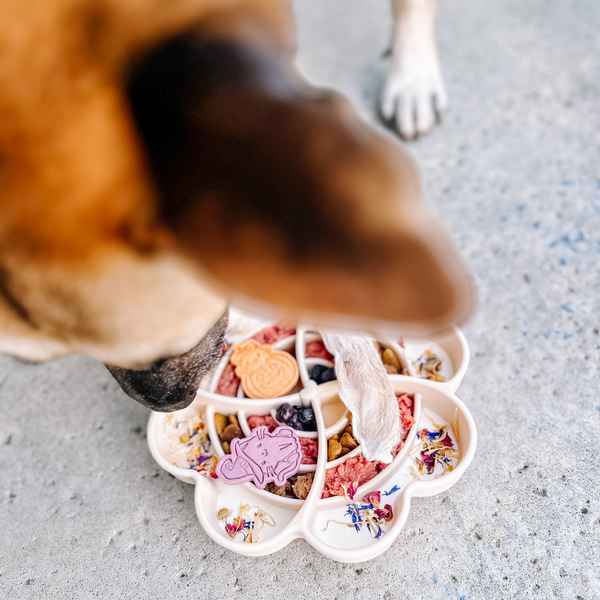 Love Slow Feeder - Snow
