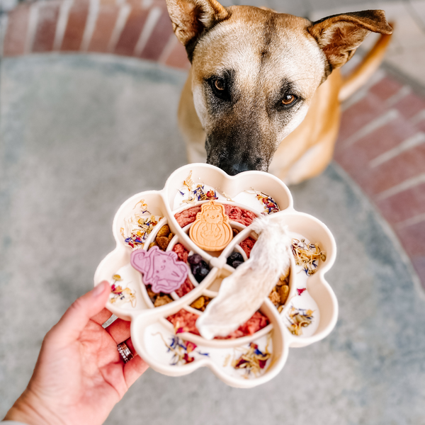 Love Slow Feeder - Snow