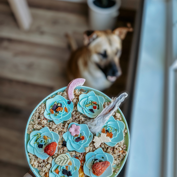 Snuffle Mat Tea – Anti-Gulp | BPA-Free