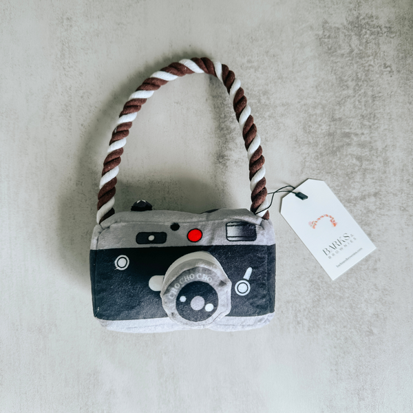 Camera Squeaky Dog Toy