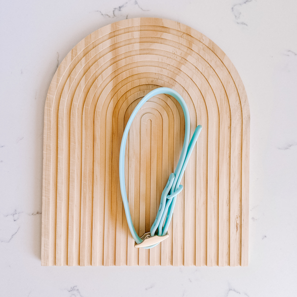 Waterproof Dog Collar - Teal