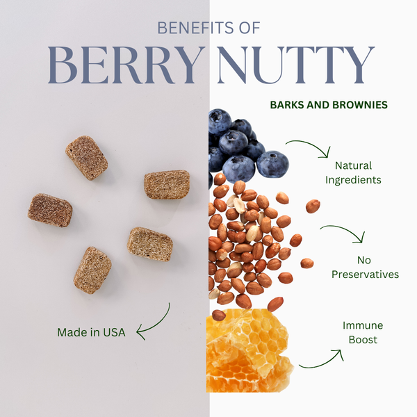 BERRY NUTTY | IMMUNE BOOST Premium Dog Treats