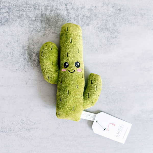 Cactus Squeaky Dog Toy