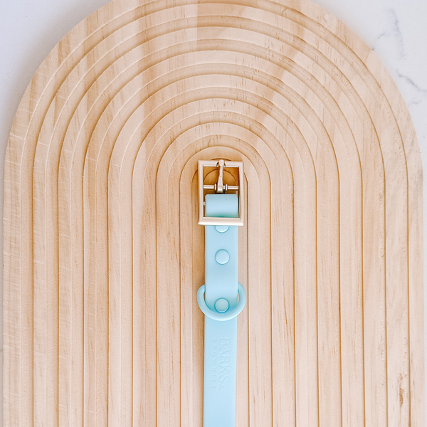 Waterproof Dog Collar - Teal