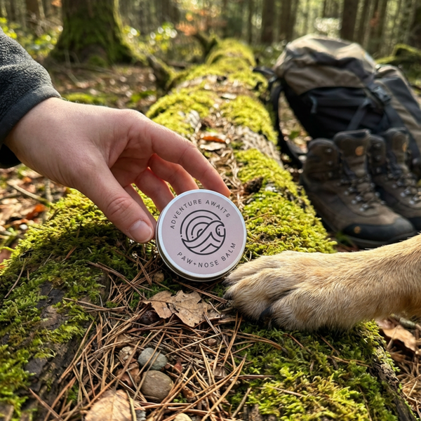 NEW ! Paw Balm | Dogs + Cats