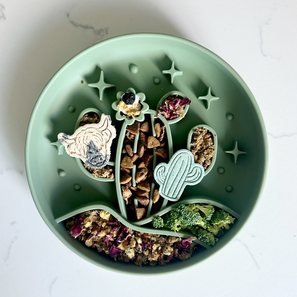 Cactus Slow Feeder - Grass