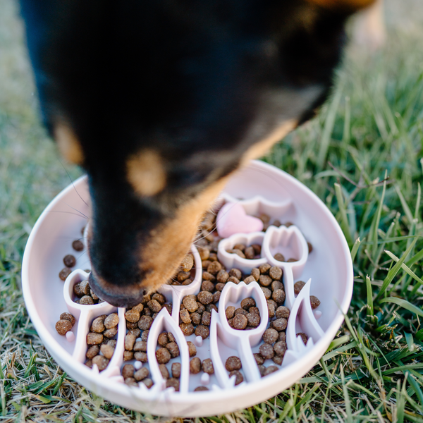 Tulip Slow Feeder Cotton