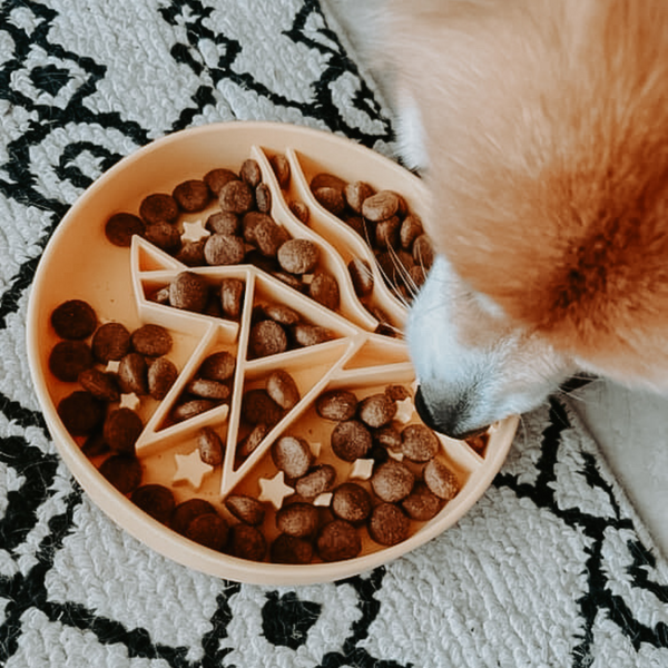 Signature Origami Slow Feeder Yellow