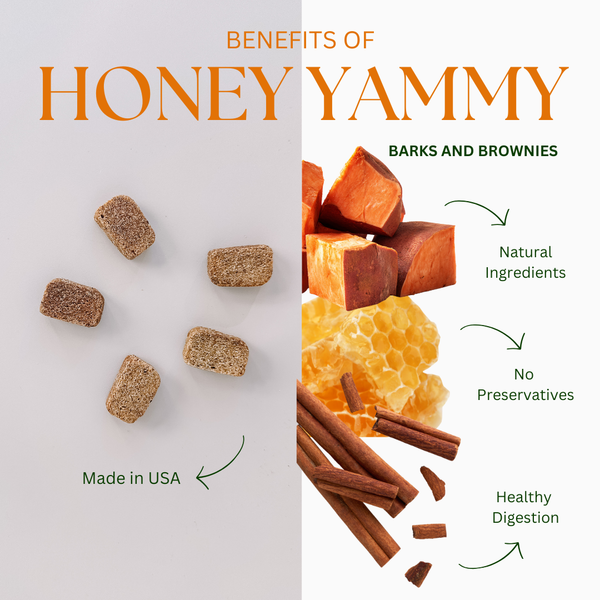 HONEY YAMMY | HEALTHY DIGESTION Premium Dog Treats