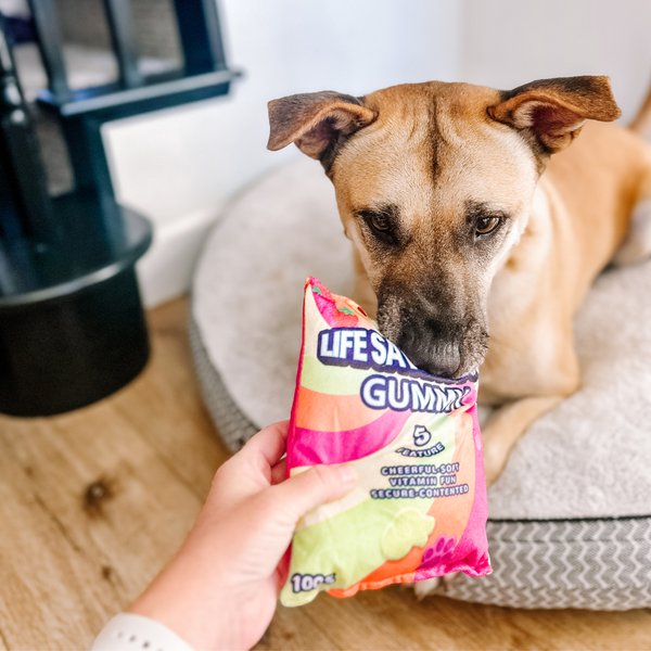 Squeaky Crinky Dog Toy Chips