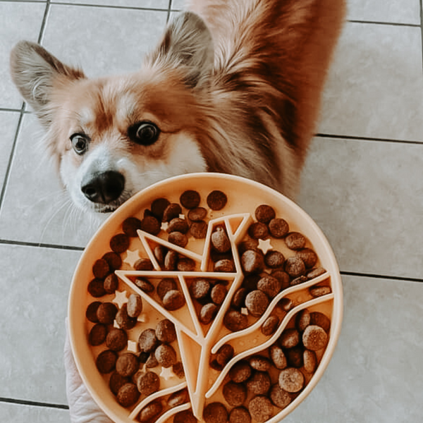 Signature Origami Slow Feeder Yellow