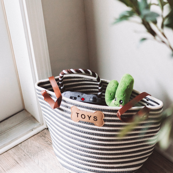 Cactus Squeaky Dog Toy