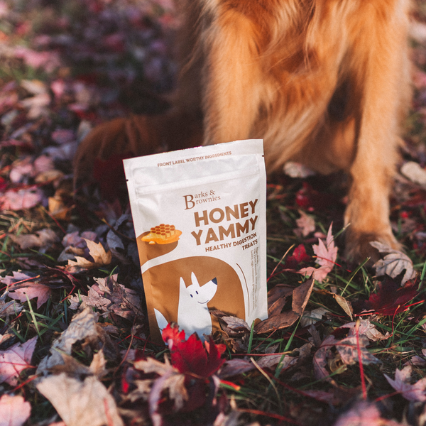 HONEY YAMMY | HEALTHY DIGESTION Premium Dog Treats