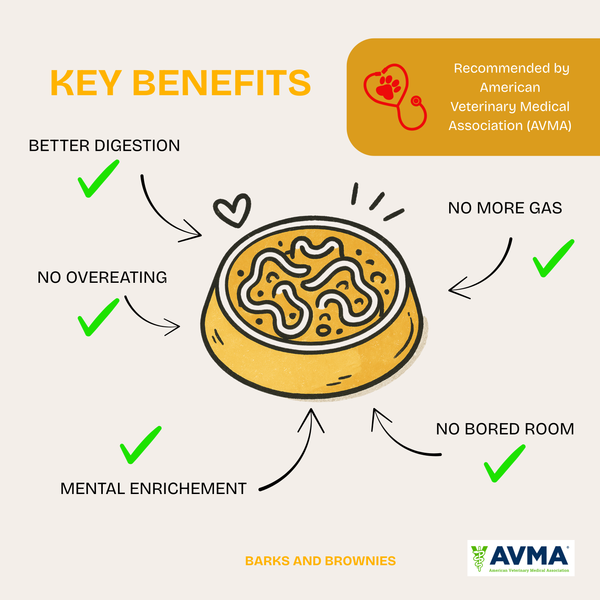 Rainbow Dog Slow Feeder Mustard (DEMO item)