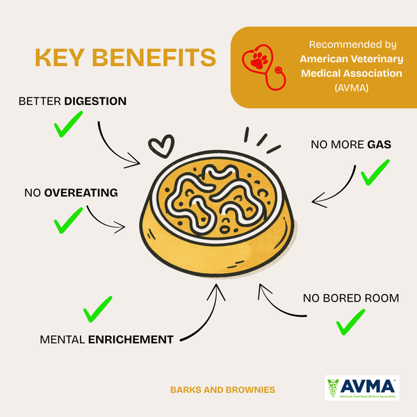 Daisy Slow Feeder - Peach