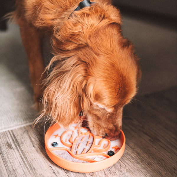 Cactus Slow Feeder - Tangerine