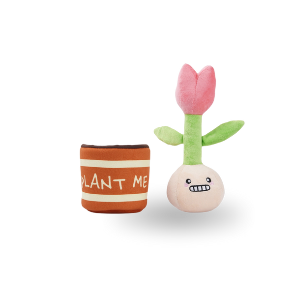 Squeaky Dog Toy | Flower