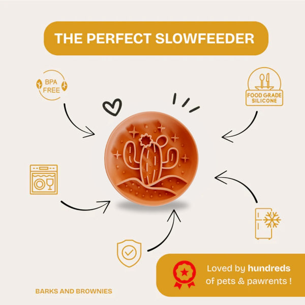 Cactus Slow Feeder - Tangerine