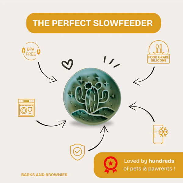 Cactus Slow Feeder - Grass