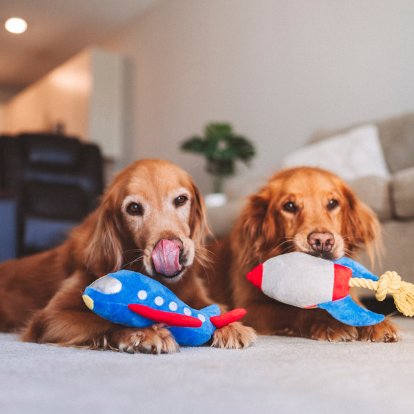 Plane Squeaky Dog Toy