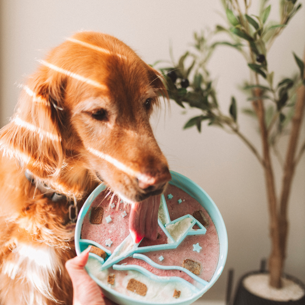 Signature Origami Slow Feeder Blue