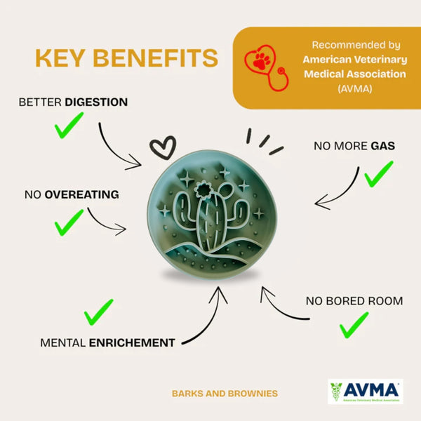 Cactus Slow Feeder - Grass