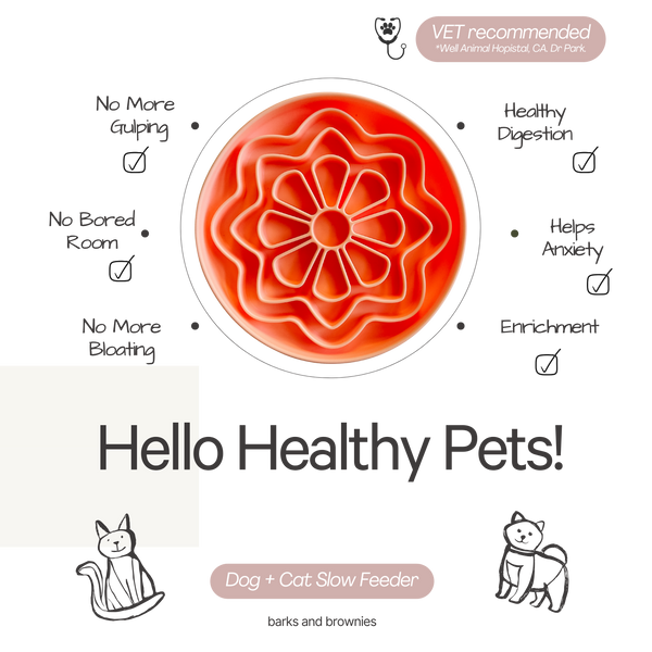 Flower Slow Feeder - Tangerine