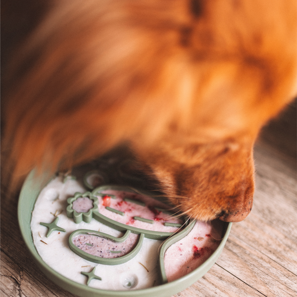 Cactus Slow Feeder - Grass