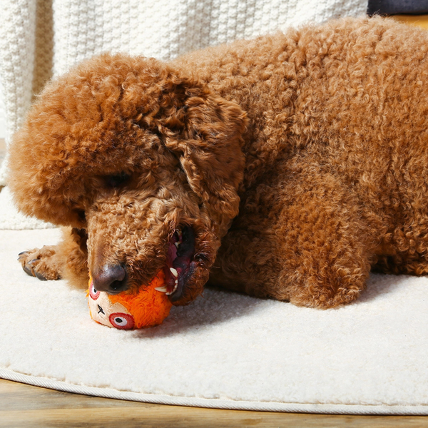 Squeaky Dog Toy | Play Ball
