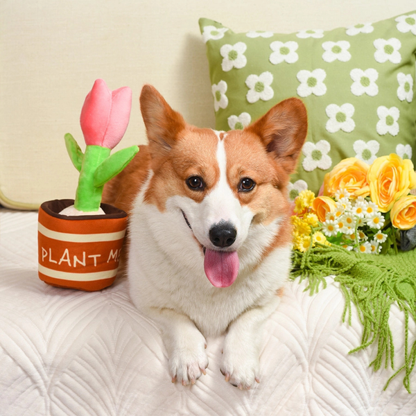 Squeaky Dog Toy | Flower