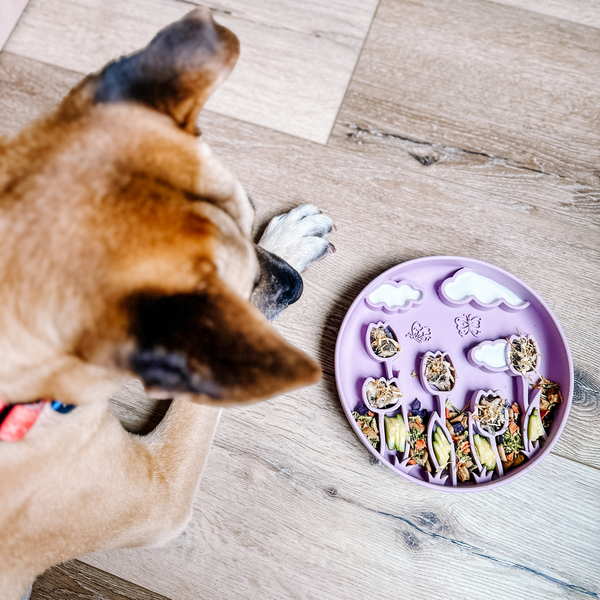 Tulip Slow Feeder Plum