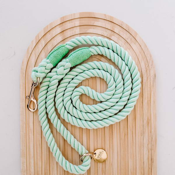 Cotton Rope Dog Leash - Tea
