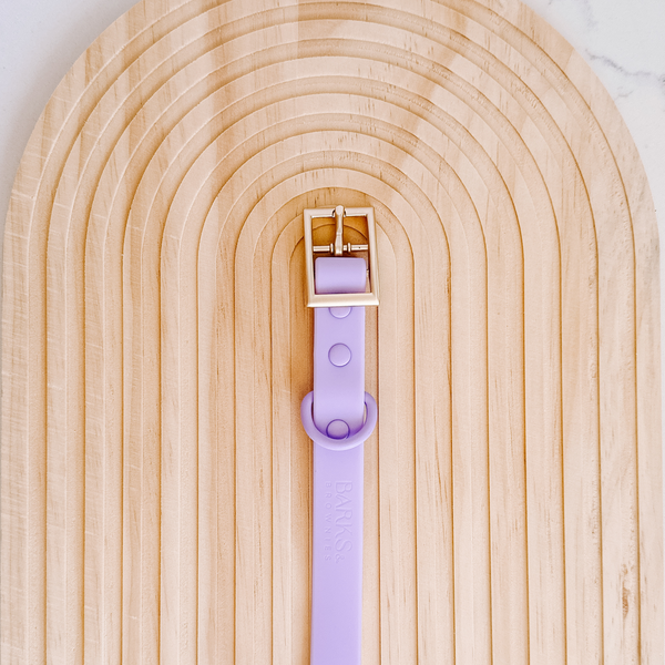 Waterproof Dog Collar - Purple