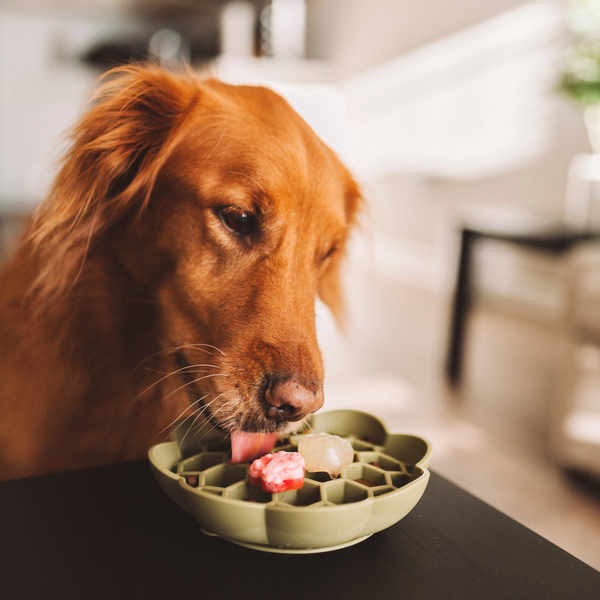 Daisy Slow Feeder - Grass
