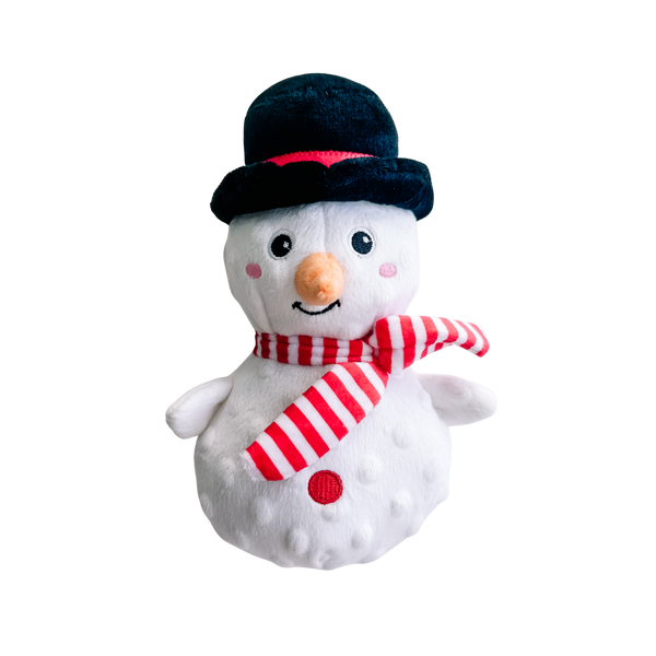 Christmas Squeaky Dog Toy