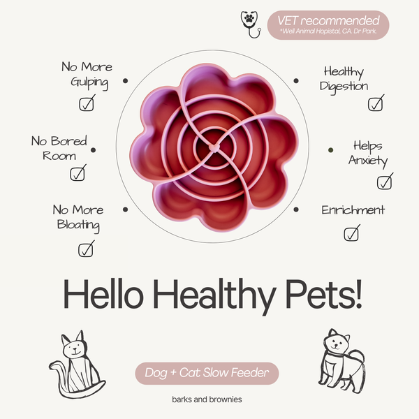 Love Slow Feeder - Strawberry