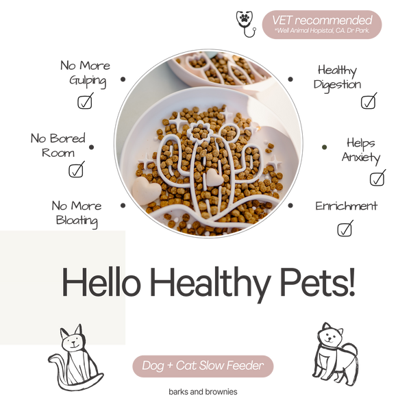 Cactus Slow Feeder - Sand