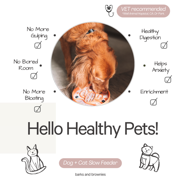 Cactus Slow Feeder - Tangerine