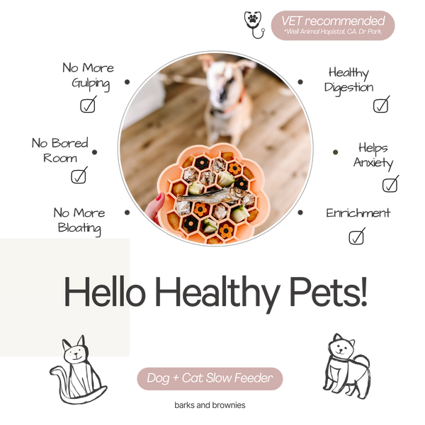 Daisy Slow Feeder - Peach