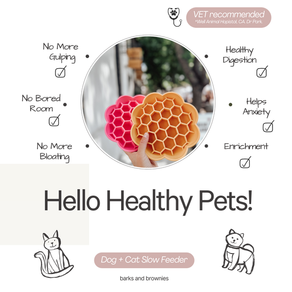 Daisy Slow Feeder - Mustard