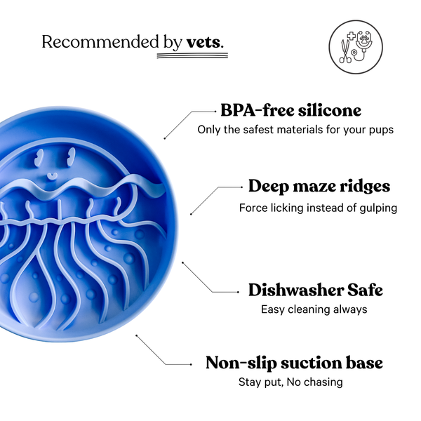 Jelly Fish Slow Feeder