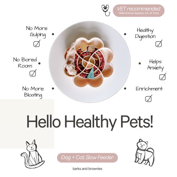 Love Slow Feeder - Snow