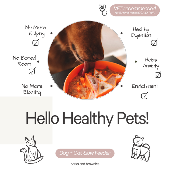 Signature Origami Slow Feeder Orange