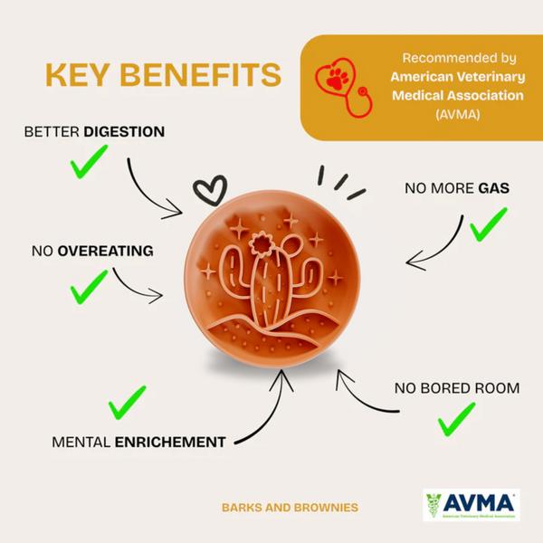 Cactus Slow Feeder - Tangerine